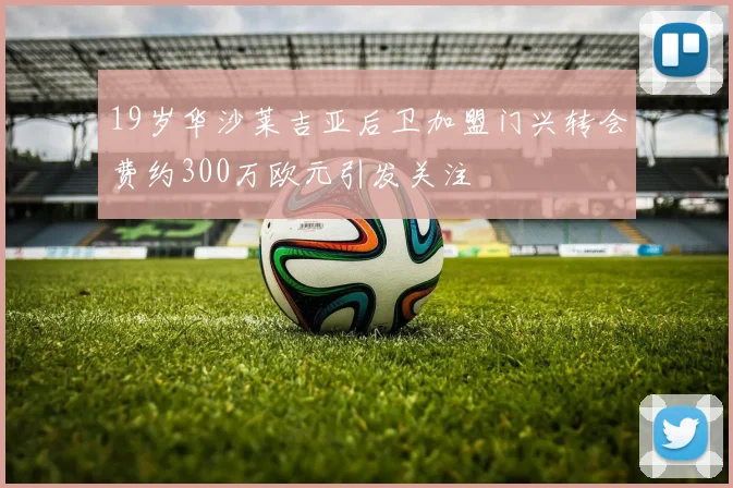 19岁华沙莱吉亚后卫加盟门兴转会费约300万欧元引发关注
