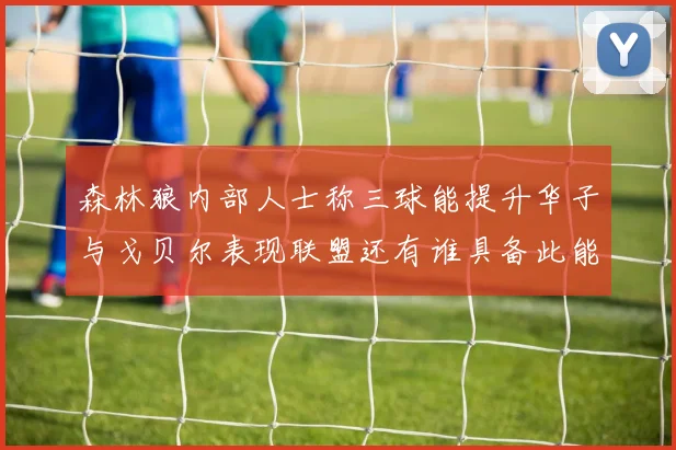 森林狼内部人士称三球能提升华子与戈贝尔表现联盟还有谁具备此能力